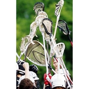 Lacrosse Wall Mural